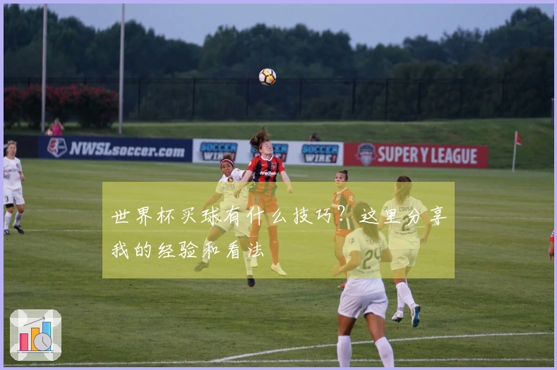 世界杯买球有什么技巧？这里分享我的经验和看法