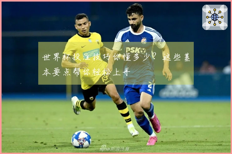 世界杯投注技巧你懂多少？这些基本要点帮你轻松上手