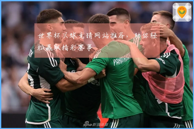 世界杯买球竞猜网站推荐，助你轻松赢取精彩赛事