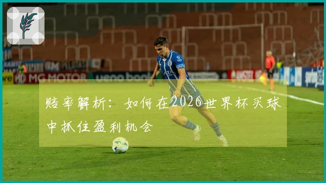 赔率解析：如何在2026世界杯买球中抓住盈利机会