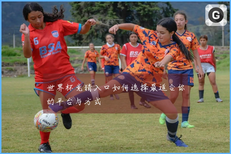 世界杯竞猜入口如何选择最适合你的平台与方式
