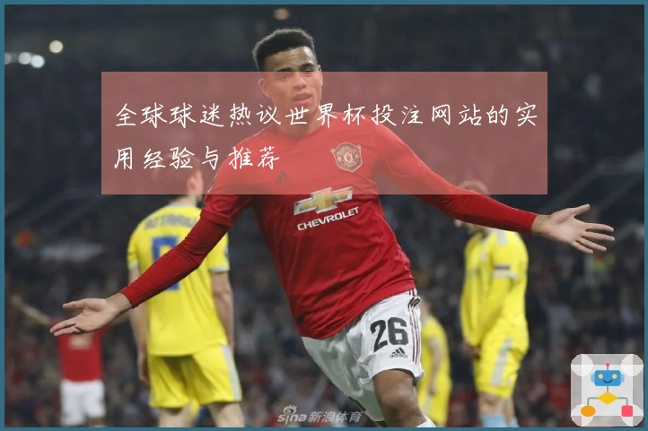 全球球迷热议世界杯投注网站的实用经验与推荐