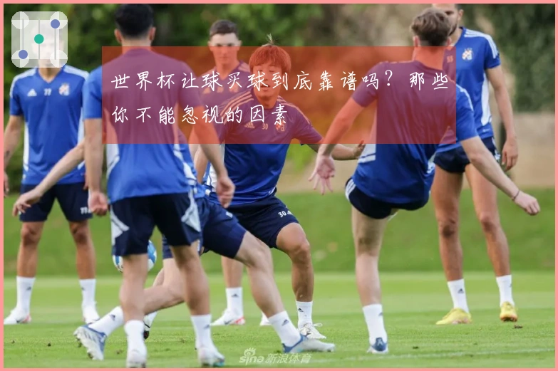 世界杯让球买球到底靠谱吗？那些你不能忽视的因素