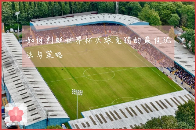如何判断世界杯买球竞猜的最佳玩法与策略