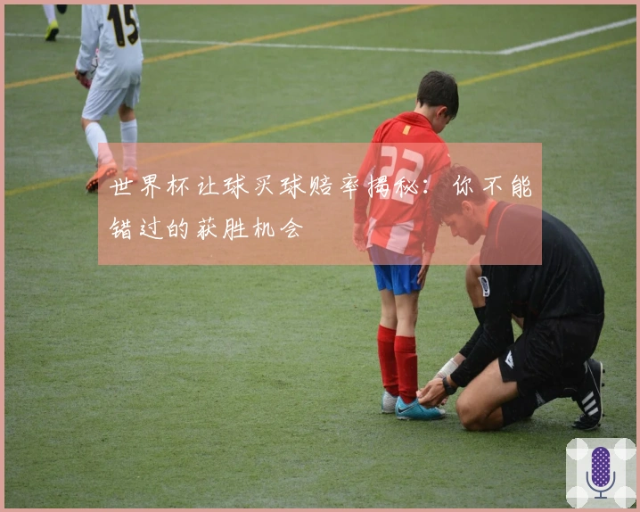 世界杯让球买球赔率揭秘：你不能错过的获胜机会