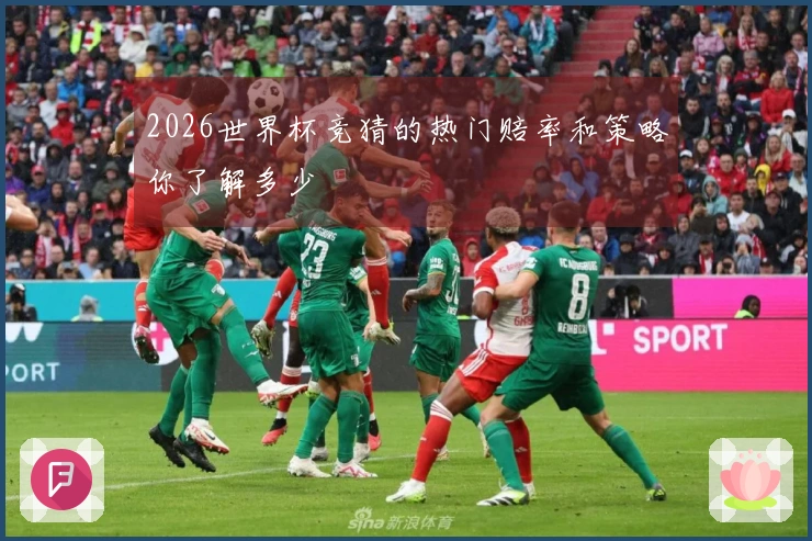 2026世界杯竞猜的热门赔率和策略你了解多少
