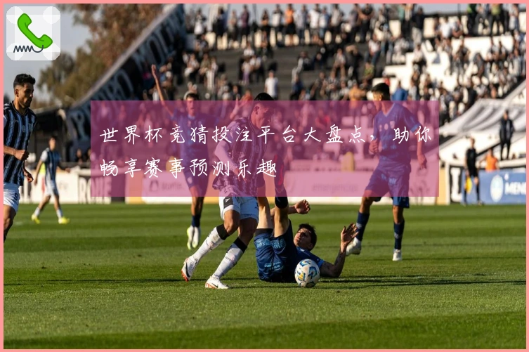 世界杯竞猜投注平台大盘点，助你畅享赛事预测乐趣