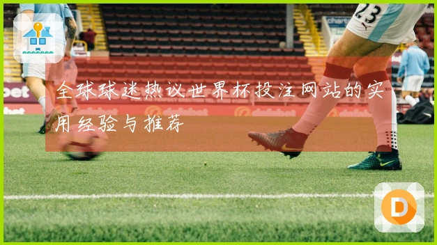 全球球迷热议世界杯投注网站的实用经验与推荐
