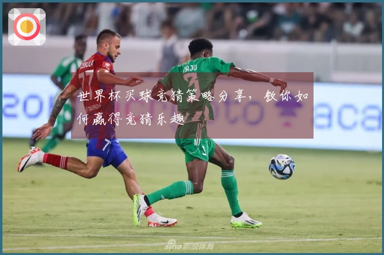 世界杯买球竞猜策略分享，教你如何赢得竞猜乐趣