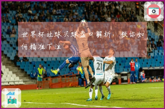 世界杯让球买球盘口解析，教你如何精准下注
