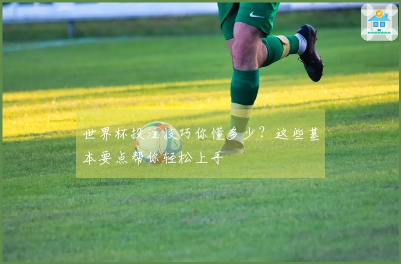 世界杯投注技巧你懂多少？这些基本要点帮你轻松上手