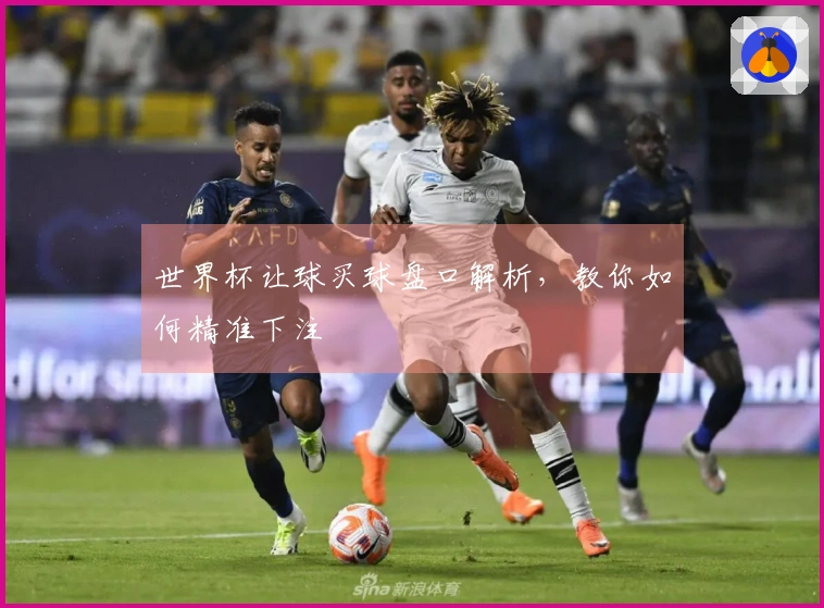 世界杯让球买球盘口解析，教你如何精准下注