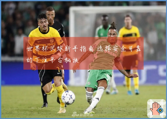世界杯买球新手指南 选择安全可靠的下注平台秘诀