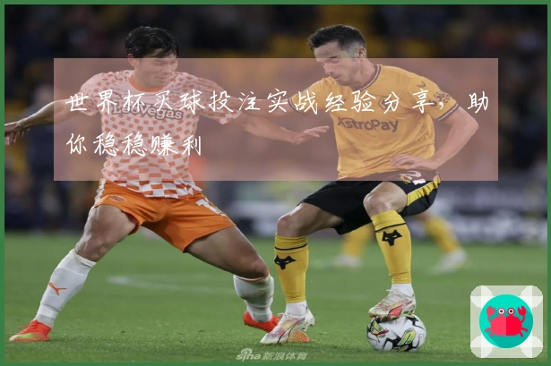 世界杯买球投注实战经验分享，助你稳稳赚利