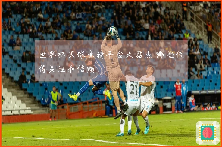 世界杯买球竞猜平台大盘点 哪些值得关注和信赖