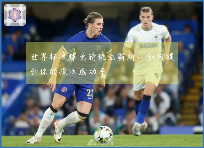 世界杯滚球竞猜玩法解析，如何提升你的投注成功率