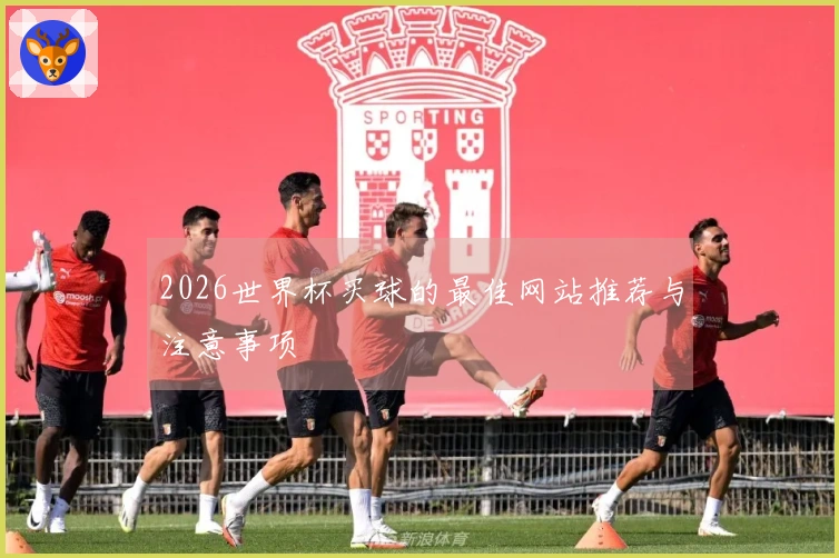 2026世界杯买球的最佳网站推荐与注意事项